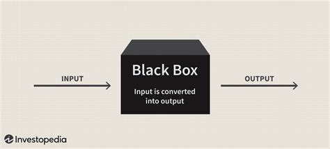 black box metaphor meaning|Black Box Concept in Family Systems Theory .